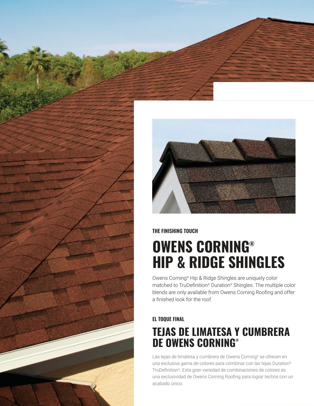 Beauty book page