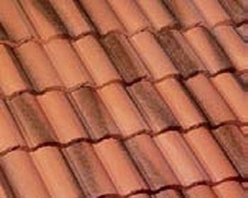 Goldenrod Flash tile