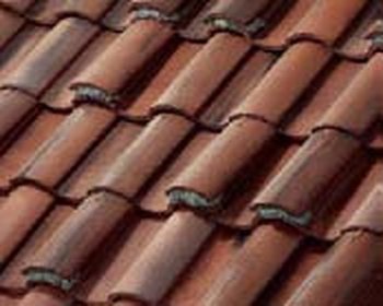 Morning Rose tile